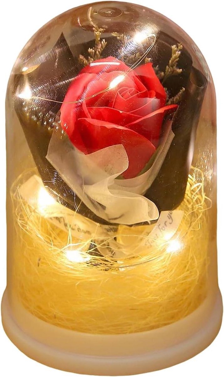 Rozenboeket onder stolp - Bewaarde bloemen - Romantische decoratie - Met sfeerverlichting - 15 x 105 cm - Rood