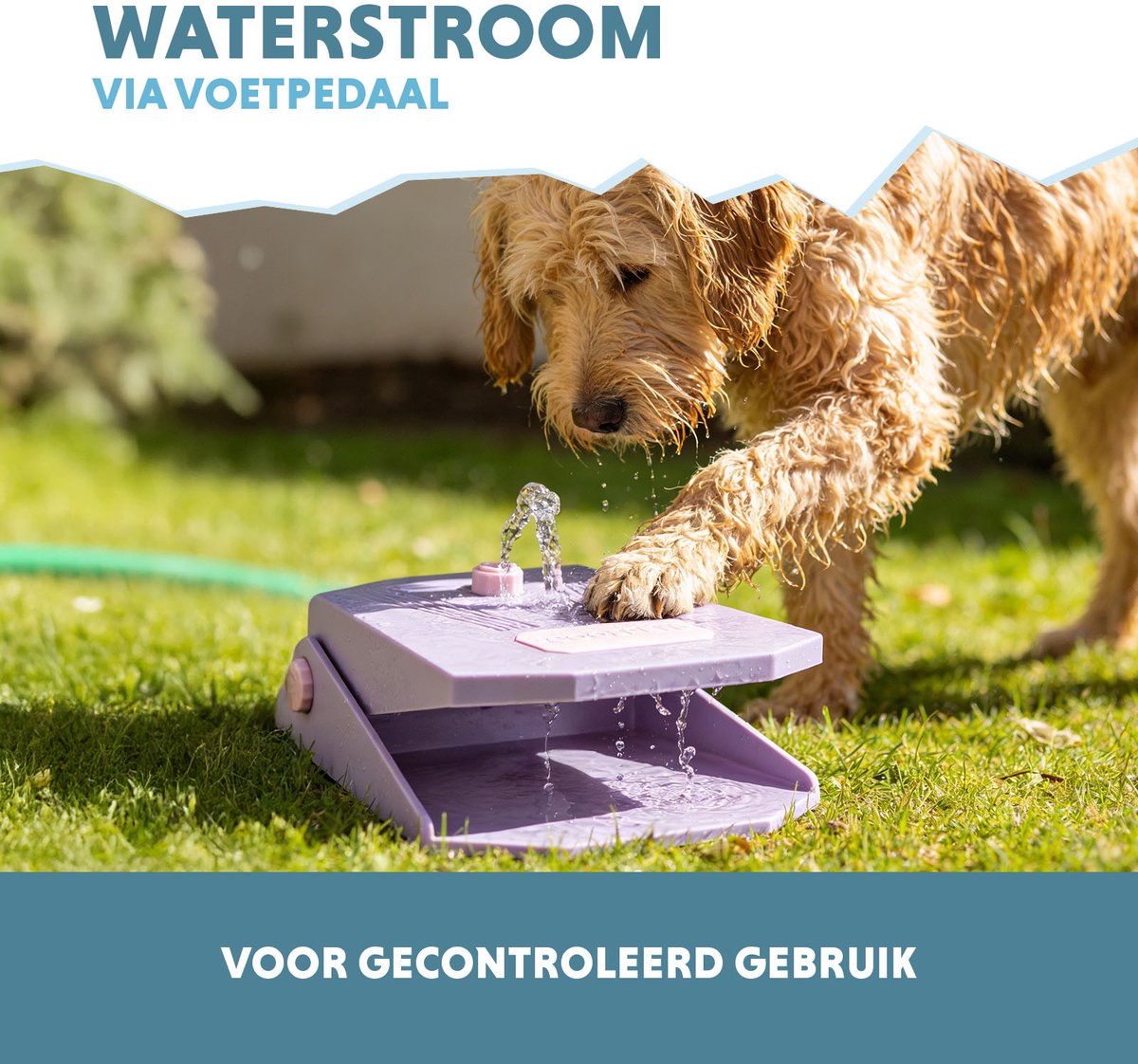 Hofman Animal Care CoolPets Waterfontein Hond Tuinslang - Lila thumbnail 5