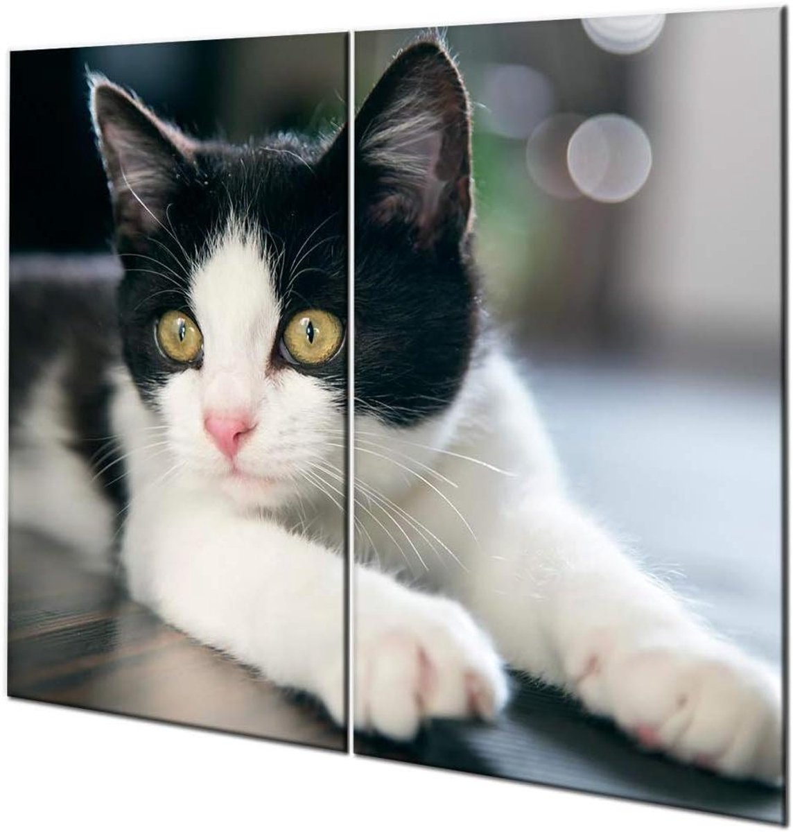 Kookplaat Beschermers - Snijplank Set - Keuken Werkruimte - Gehard Glas - 2x 30x52cm - Transparant