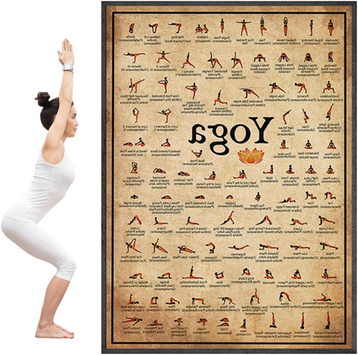 Oefenposters - Fitness Grafiek - Gym Kamer Decor - Visuele Instructie - 50 x 70 cm - Niet gespecificeerd