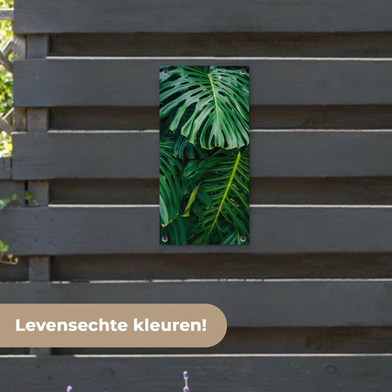 Tuinposter 30x60 cm - Tuindecoratie Donkergroene botanische bladeren in een tuin - Poster voor in de tuin - Buiten decoratie - Schutting tuinschilderij - Tuindoek muurdecoratie - Wanddecoratie balkondoek