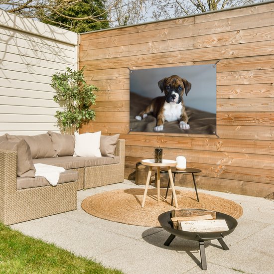 Affiche de jardin chiot Boxer couché sur un kussen 90x60 cm - Toile de jardin / Toile d'extérieur / Peintures pour l'extérieur (décoration de jardin)