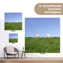 Product afbeelding  11
