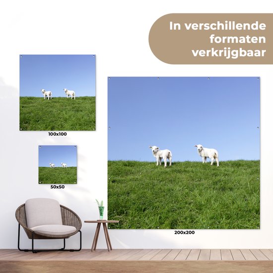 Tuinposter 200x200 cm - Tuindecoratie Twee lammetjes die zich op een grasdijk bevinden - Poster voor in de tuin - Buiten decoratie - Schutting tuinschilderij - Tuindoek muurdecoratie - Wanddecoratie balkondoek