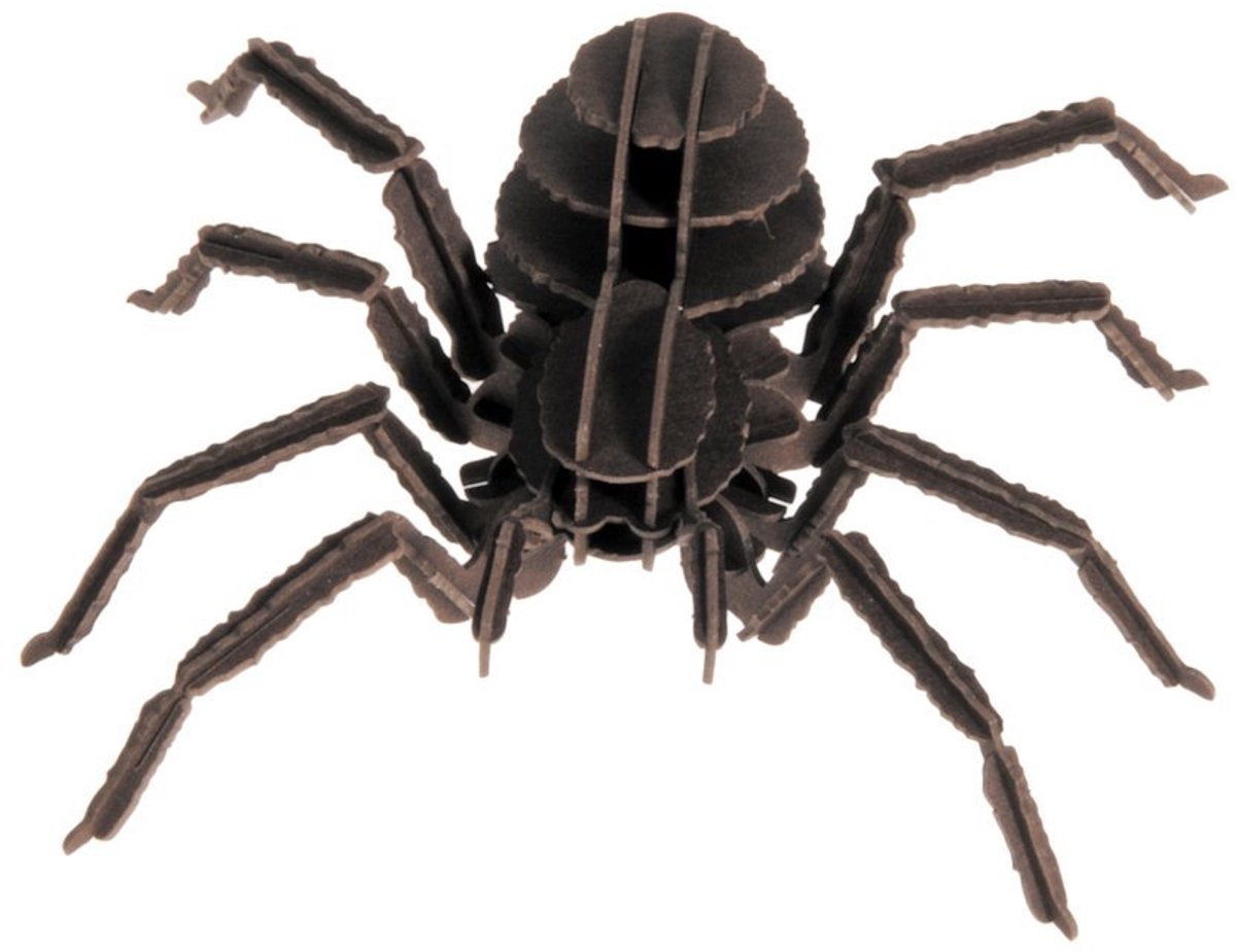FRIDOLIN 3D Papier Model - Tarantula.