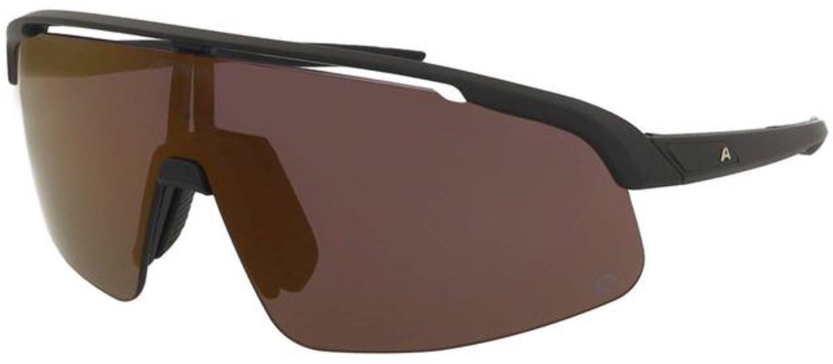 Zonnebril Alpina Turbo Pro S Q Black Matt/Gold Mirror