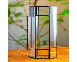 Kleine Glazen Terrarium met Gaas en Deur voor Springstaarten en Insecten - Hexagonaal 10 x 10 cm x 22 cm, Voor Planten, Tafel Decoratie, Terrarium voor Succulenten en Miniatuurtuin