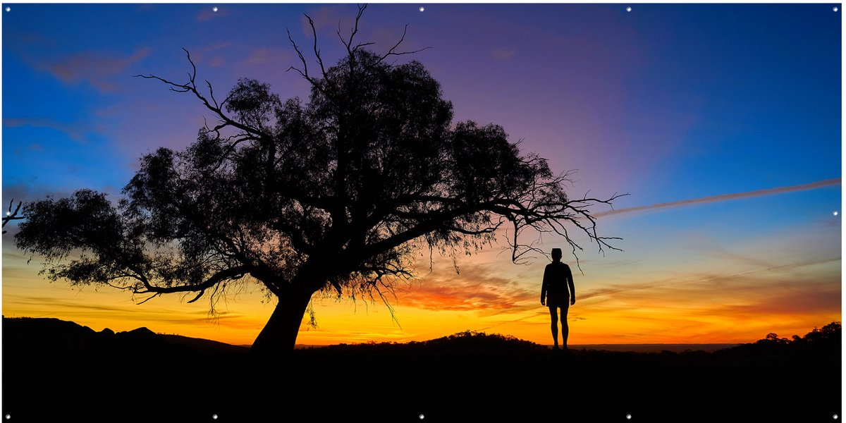 Zonsondergang Silhouet Boom - Tuinposter - Tuindoek - 200x100 cm - Buitenposter - Schuttingdoek - Tuinschilderij voor Buiten