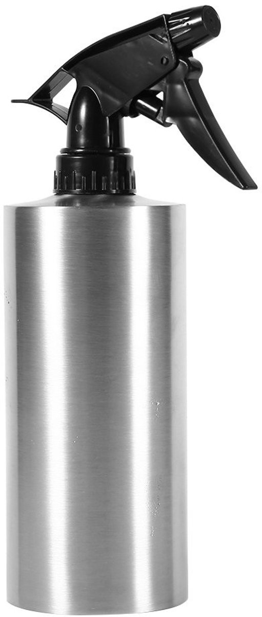 Dailygoody - Watering Can - Handtrigger Gieter - Lichtgewicht - 550ml - Multifunctionele Spray Kettle - Geschikt voor Tuinplanten - Zilver