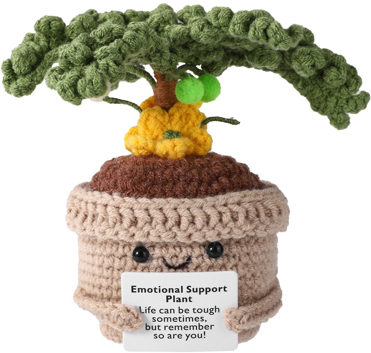 Dailygoods- Kokospalm - Positieve Plant - Tropische Decoratie - Emotionele Ondersteuning - Cadeau voor Huis/Kantoor - 13x11x6,5 cm - Decoratieplant