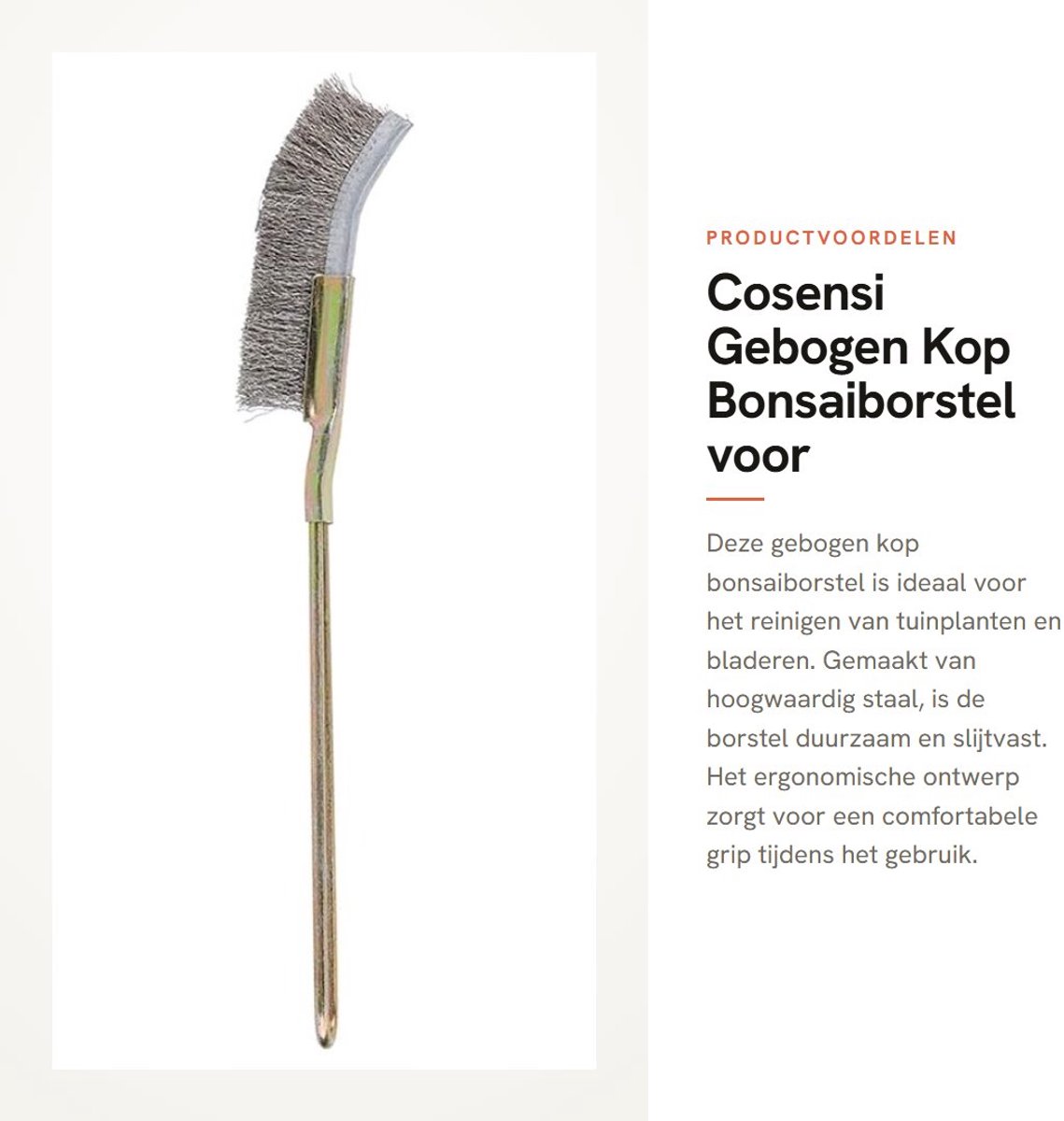 Dailygoods- Bonsaiborstel Gebogen Hoofd - Staal Tuingereedschap - Ergonomisch Ontwerp - Antislip Handvat - Duurzaam en Slijtvast - 23 cm/22 cm