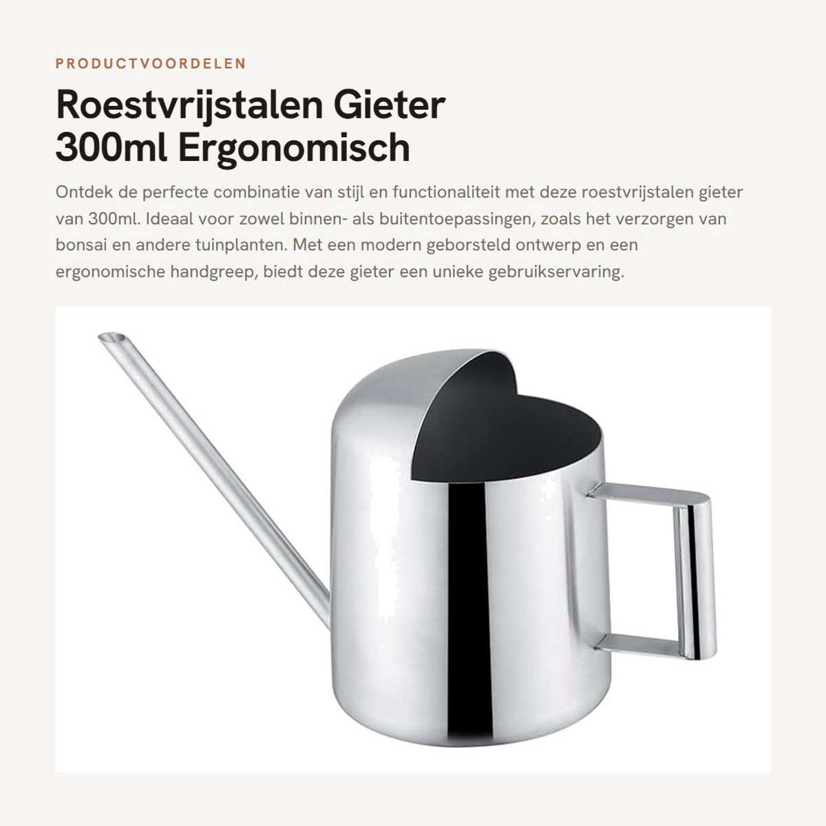 Dailygoods- Gieter 300ml - Roestvrij Staal - Ergonomisch Design - Lange Schenktuit - Binnen/Buiten Gebruik - Modern Design - Plantenbewateringskan