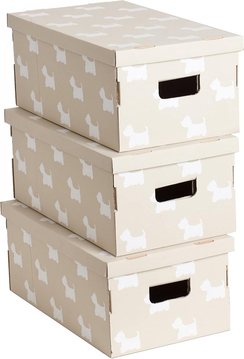 Opbergdozen Set - Decoratieve Bakken - Huis Ordenen - Recyclebaar Karton - 3 Stuks 51cm - Multi-Colour