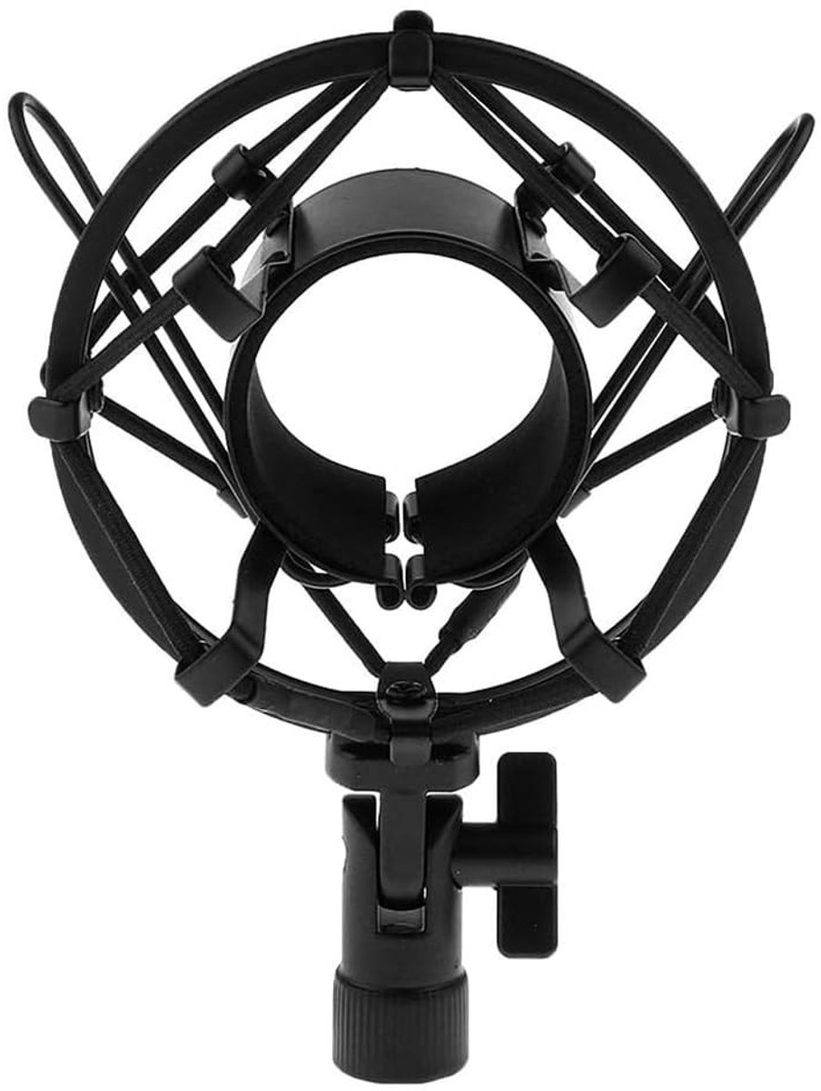 Dailygoods - Microfoonstandaard - Metalen microfoonhouder - Schokbevestiging - 50 mm diameter - Geschikt voor thuis en podium - microfoonhouder