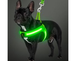 Lichtgevend Hondentuigje - LED Harnas - Nachtelijke Wandelingen - Oplaadbaar Veiligheidslicht - Voor Middelgrote Honden - Groen