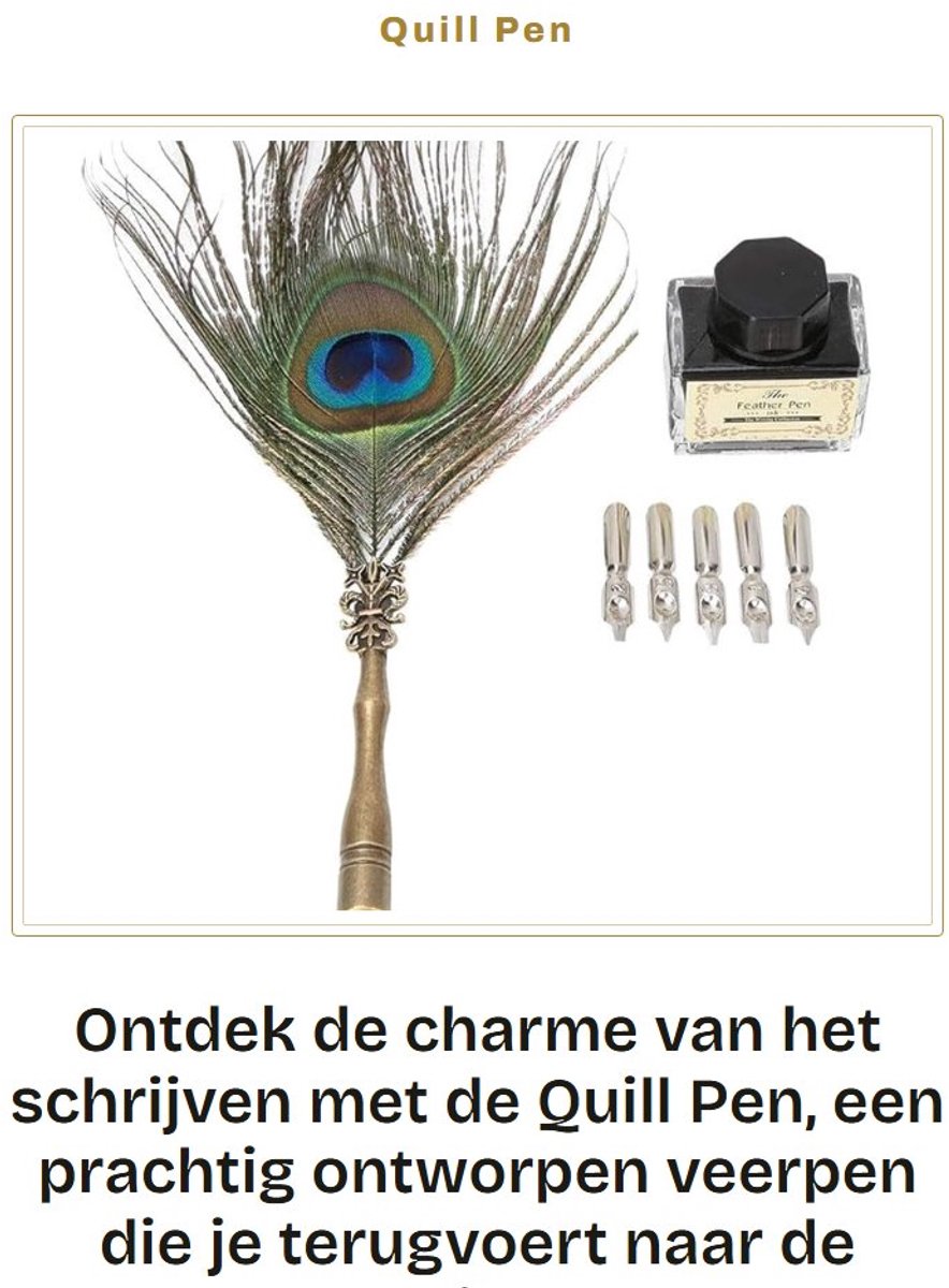 Dailygoods- Dip Pen Retro Kalligrafie - Pauwenveer - Handgedompelde Inktveer - 5 Punten - Roestvrij Stalen Punt - Elegant Schrijfinstrument - Vulpennenset