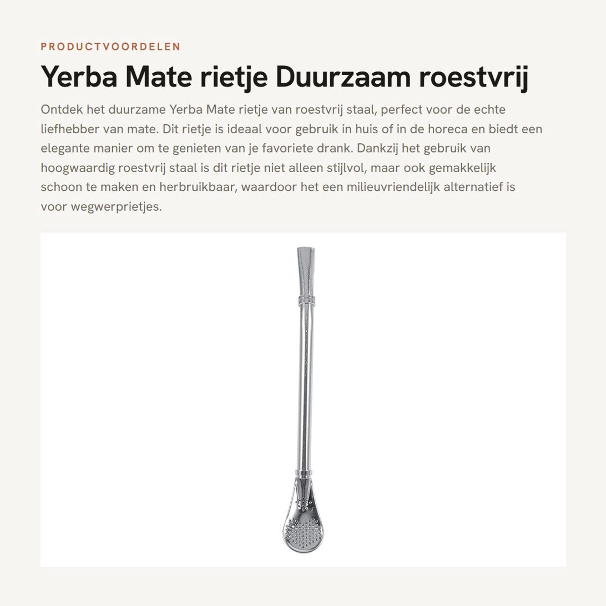 Dailygoods- Yerba Mate Rietje Duurzaam - Roestvrij Staal - Makkelijk Schoon Te Maken - Geschikt Voor Familie - Hotel Gebruik - Hoogwaardige Kwaliteit - Bombilla
