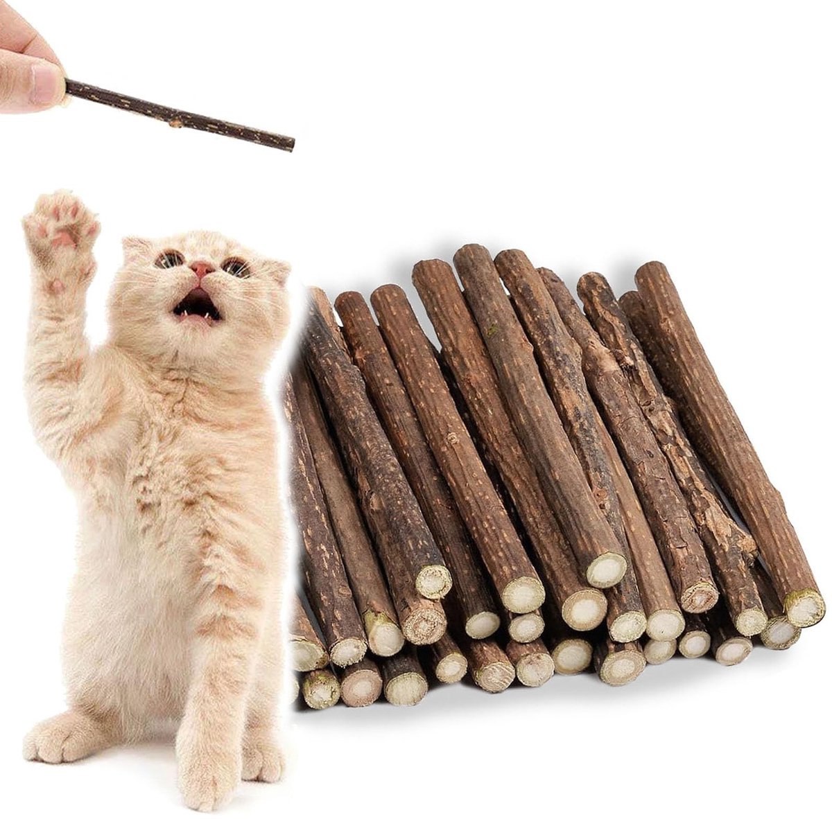 Dailygoods- Kattensticks 30 Stuks - Natuurlijke Kauwsticks - Tandverzorging - Mondgezondheid - Houten Sticks - Verfrissing Adem