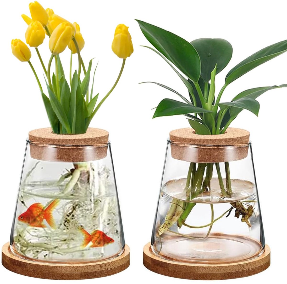 Dailygoods - Hydrocultuur plantenvazen - Glazen vaas met voet - Uniek ontwerp - Transparant - Decoratie voor huis en kantoor - Set van 2
