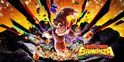 Afbeelding nummer  13