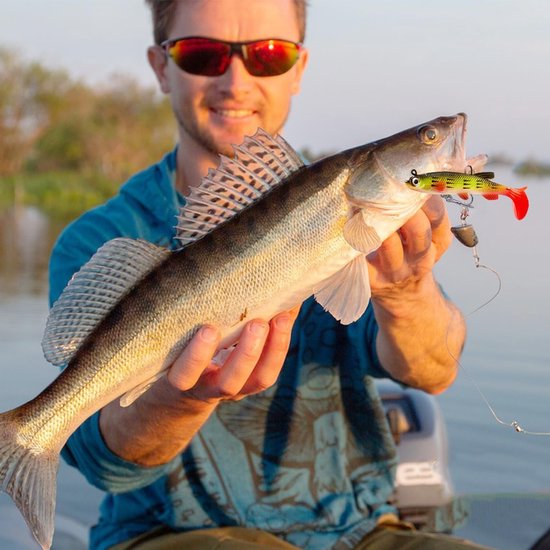 Visaas-set met 10 stuks inclusief transparante doos - Crankbait jigkoppen voor roofvis, snoek, baars en tilapia van Merkloos — afbeelding 3