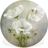 Cercle mural - Fleurs - Wit - Coquelicot - Nature morte - Cercle mural intérieur - Tableau rond - Décoration murale ronde - Décoration murale - 60x60 cm - Décoration chambre - Chambre