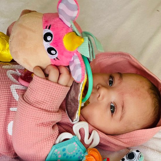 Playgro Clip Clop Rammelaar Unicorn Eenhoorn Roze - Activiteitenspeeltje - Rammelaar - Kraamkado - Baby speelgoed - Babyspeeltje - Kinderwagenaccessoire - Knuffeldier - Baby rammelaar - Bijtspeelgoed - Grijpspeelgoed - Baby