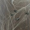 Folat - Spinnenweb 500 Gram Wit