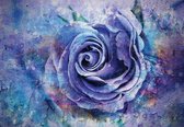 Papier peint photo - Papier Peint Intissé - Peinture Rose Bleue - Art - 208 x 146 cm