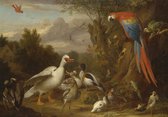 Fotobehang - Vlies Behang - Schilderij met Vogels, Eenden, Ganzen en Papegaai - Kunst - 208 x 146 cm