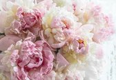 Fotobehang - Vlies Behang - Roze Pioenrozen - Bloemen - Pioenen - 416 x 290 cm