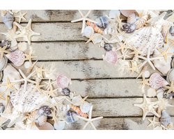 Fotobehang - Vlies Behang - Schelpen op Houten Planken - 368 x 380 cm