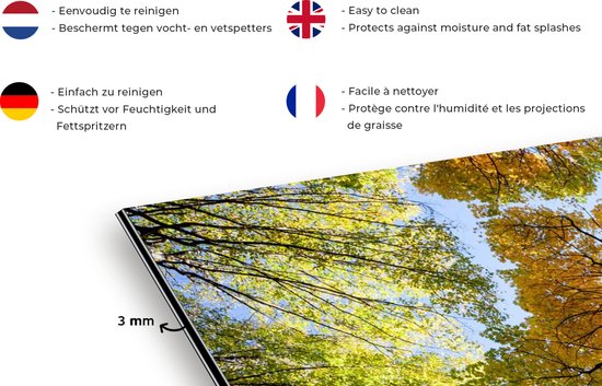 Spatscherm keuken 100x50 cm - Kookplaat achterwand Boom - Natuur - Bos - Muurbeschermer - Spatwand fornuis - Hoogwaardig aluminium