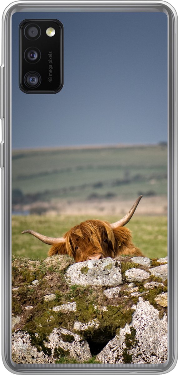 Telefoonhoesje Geschikt voor Samsung Galaxy A41 hoesje - Schotse Hooglander - Stenen - Gras - Siliconen Telefoonhoesje Telefoonhoesje