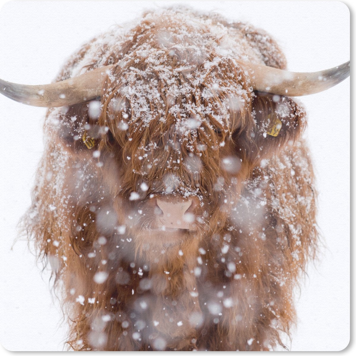 Muismat 30x30 cm - Mousepad Schotse Hooglander - Horens - Sneeuw - Muismatten