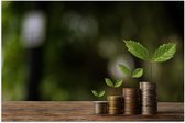 Poster (Mat) - Geld Groeit Wél aan Planten - 90x60 cm Foto op Posterpapier met een Matte look