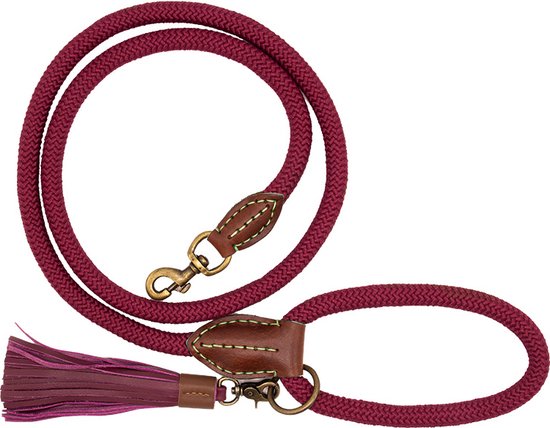 Dwam Looplijn Bonnie Touw Bordeaux - Hondenriem - 165x1.4 cm