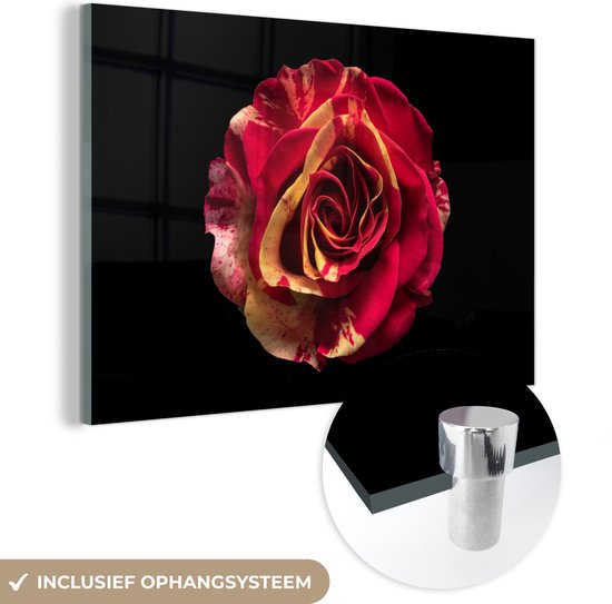 MuchoWow® Glasschilderij 30x20 cm - Schilderij acrylglas - Bloem - Roos - Rood - Zwart - Foto op glas - Schilderijen