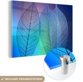 Glasschilderij - Bladeren - Blauw - Groen - Botanisch - Foto op glas - 60x40 cm - Schilderij glas - Woondecoratie