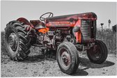 Vlag - Oude Verroeste Zwart-witte Tractor in het Weiland met Rode Details - 60x40 cm Foto op Polyester Vlag