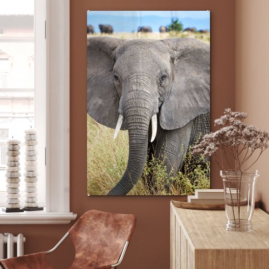 MuchoWow® Peinture sur verre 80x120 cm - Peinture sur verre acrylique - Éléphant - Animaux - Herbe - Nature - Photo sur verre - Peintures