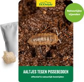 ECOstyle Aaltjes tegen Pissebedden (val) - Bestrijdingsmiddel - Natuurlijk & Biologisch - Voor in Huis en Buiten - Bruikbaar Vanaf 10 °C - Werken 24 uur per Dag - 1 Stuk