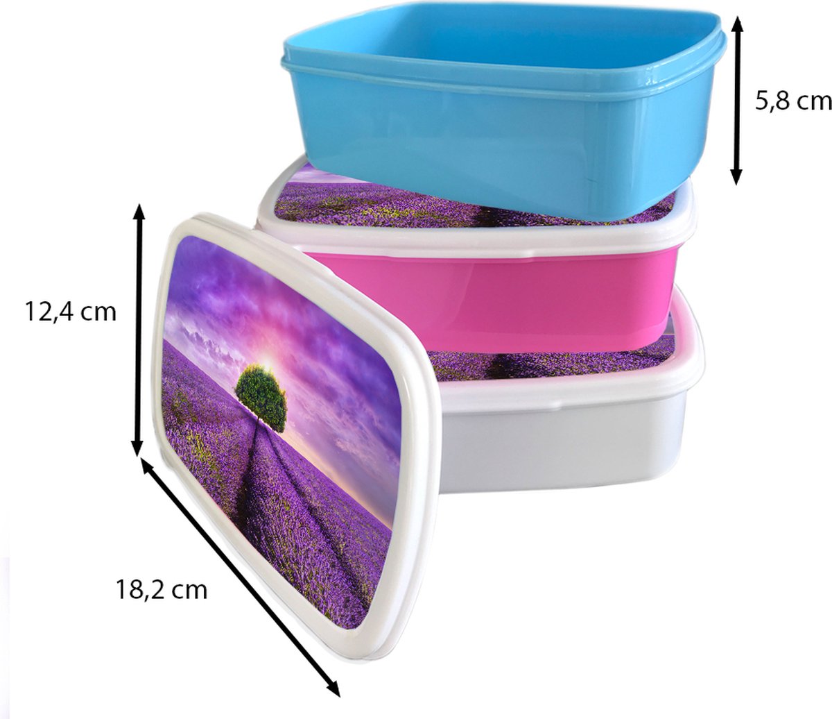 Broodtrommel Wit - Lunchbox - Brooddoos - Lavendel - Boom - Paars - Wolken - 18x12x6 cm - Volwassenen