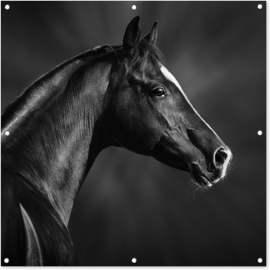 Tuindoek Paard - Dieren - Zwart - Wit - Portret - 100x100 cm Tuindoek Paard - Dieren - Zwart - Wit - Portret - 100x100 cm