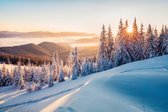Fotobehang Impressive Winter Morning In Carpathian Mountains With Snow Covered Fir Trees. Colorful Outdoor Scene, Happy New Year Celebration Concept. Artistic Style Post Processed Photo. - Vliesbehang - 416 x 290 cm