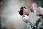Fotobehang Vintage Tulpen - Vliesbehang - 300 x 210 cm