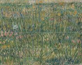 IXXI Patch of Grass - Vincent van Gogh - Wanddecoratie - 80 x 100 cm