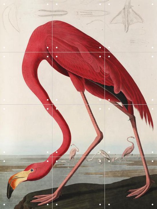 IXXI Flamingo - Décoration murale - Animaux - 60 x 80 cm