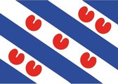 10x Friesland provincie vlag stickers 7.5 x 10 cm - Friesland thema decoratie