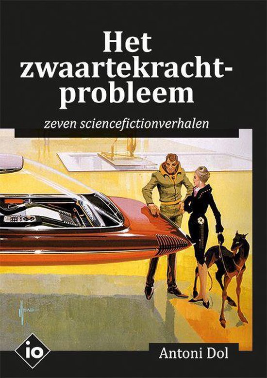 Het zwaartekrachtprobleem
